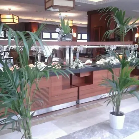 Paradise Island Hotel