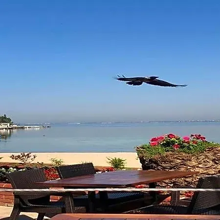 فندق جزيرة باراديس